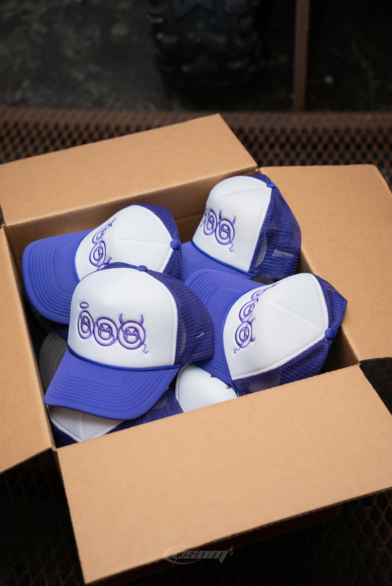 Purple "Sacred & Sinful" Trucker Hat